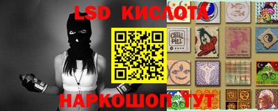 спайс Донской