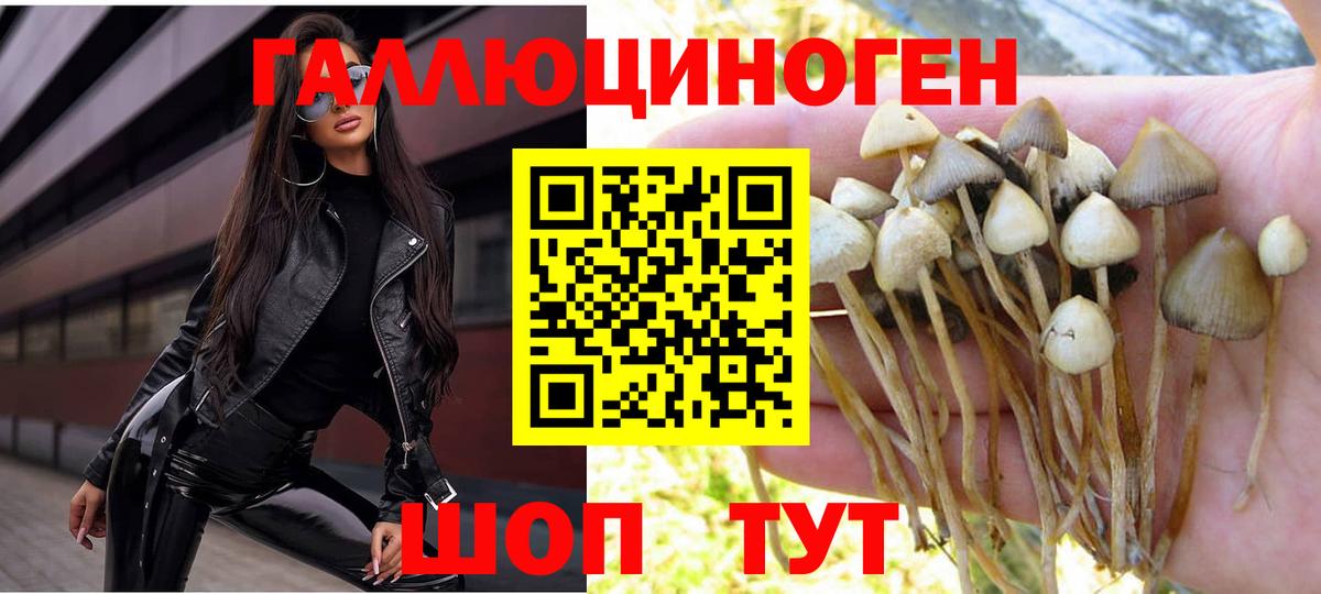 Копейск  Псилоцибиновые грибы MAGIC MUSHROOMS  Вход с VPN 